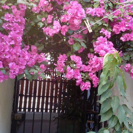 Bed and Breakfast Alojamiento Alberto Magno Santiago de Chile Exterior foto